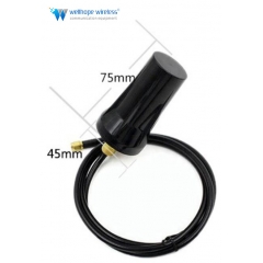 security vehicles GPS screw mounting antenna WH-GPS