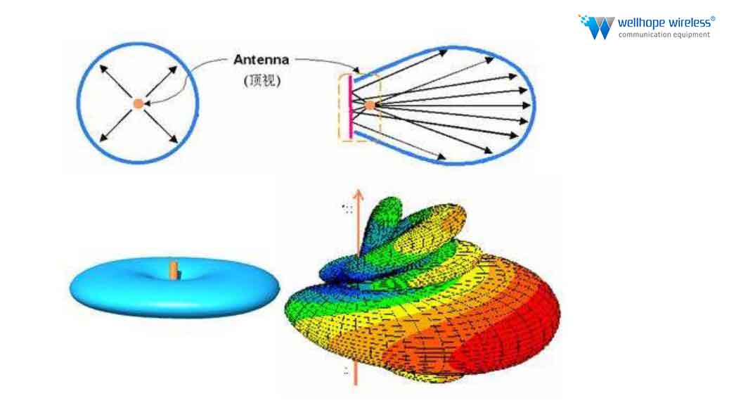 antenna radiation