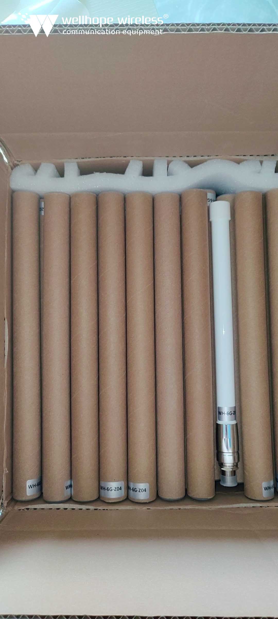 WH-6G-Z04 fiberglass antenna