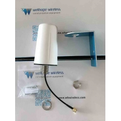 GPS ourdoor omni antenna