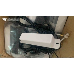 GPS 4G 440MHz combo antenna for sale