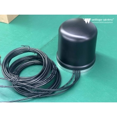 Combo Outdoor cabinet Antenna