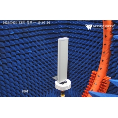 LoRaWAN 5G multiple antenna